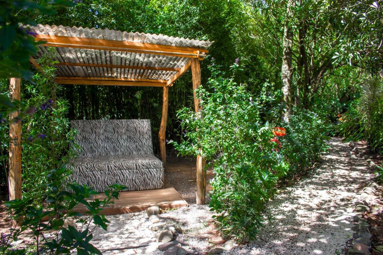 Hotel Holistico Monteverde Εξωτερικό φωτογραφία