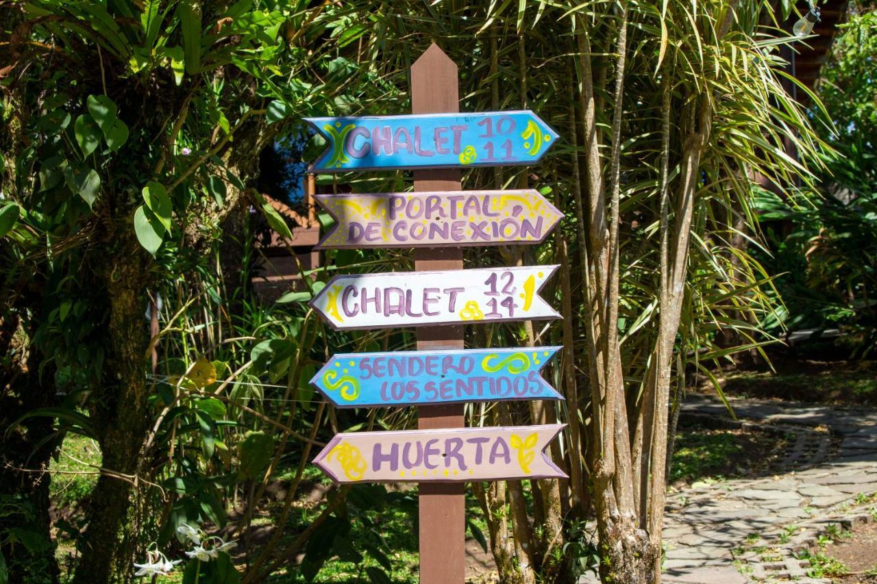 Hotel Holistico Monteverde Εξωτερικό φωτογραφία