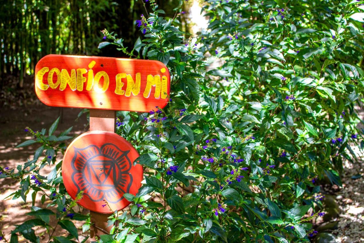 Hotel Holistico Monteverde Εξωτερικό φωτογραφία